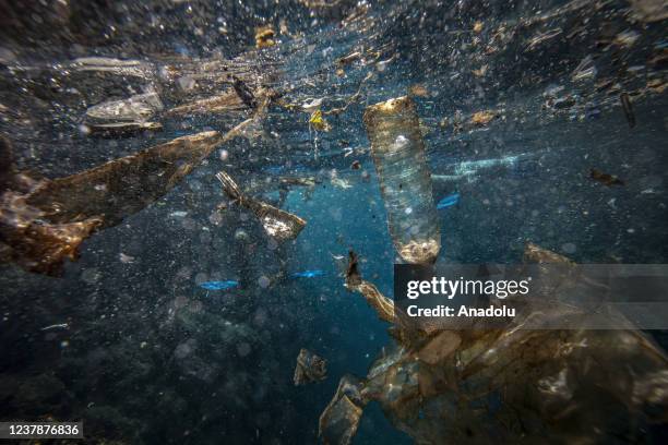 View of polluted water and plastic wastes claim many sea turtles lives and other marine species in Hatay, Turkiye on September 5, 2021. Sea turtles...