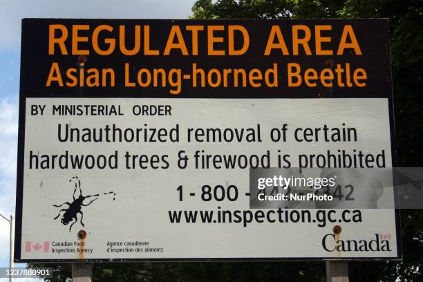 Sign warning Ontario residents that this is a regulated area in which the Asian Long-Horned Beetle has been causing damage and destruction to trees...