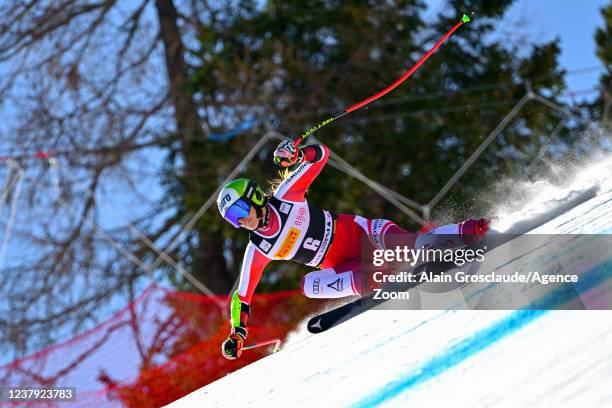 Mirjam Puchner of team Austria competes during the FIS Alpine Ski World Cup Women's Super G on January 23, 2022 in Cortina d'Ampezzo Italy.