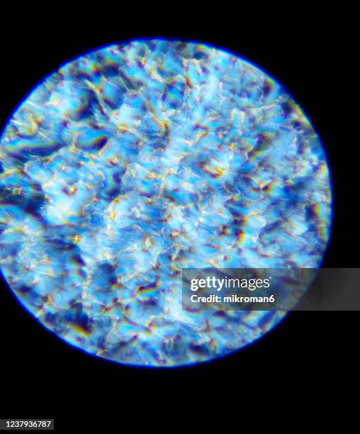 Loop Lab School Photos and Premium High Res Pictures - Getty Images