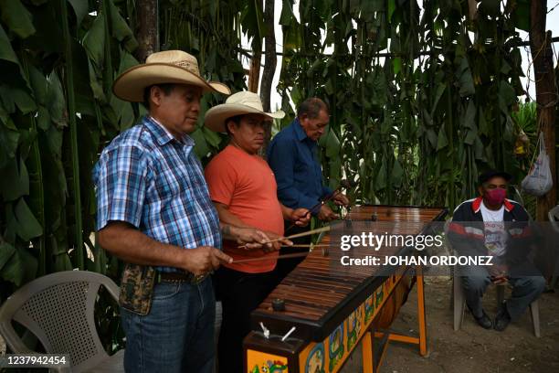 Indigenous men plays marimba during the San Pablo patron saint celebration in Rabinal, north of Guatemala City on January 23, 2022. - Dressed in...