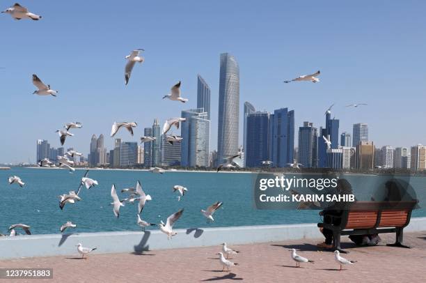 Seagulls fly across Abu Dhabi's corniche in the Emirati capital on January 24, 2022.