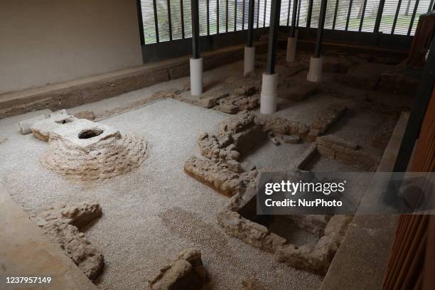 Mosaic floor is pictured during the inauguration of Mukheitim archaeological site, which houses the remnants of a Byzantine church, in Jabalia in the...