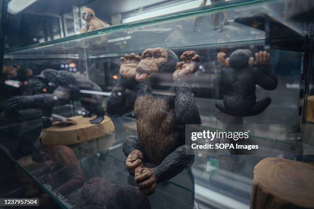 Chimpanzee models are seen displayed at Pata Zoo. The notorious Pata Zoo once boasted interactive magic and animal shows on the weekends. Among many...