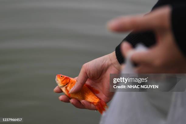 Man releases a goldfish into the Red River to mark Kitchen God Day, ahead of the Lunar New Year, in Hanoi on January 25, 2022.