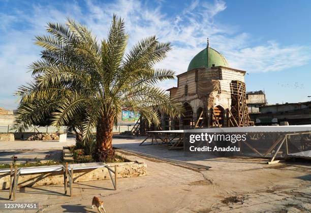 View from Great Mosque of al-Nuri and Kambur Minaret after 4 rooms have been found during the excavation works at Great Mosque of al-Nuri and Kambur...