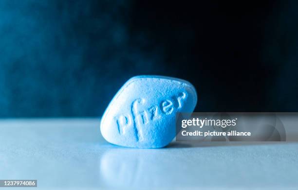 January 2022, Berlin: A Viagra tablet is lying on a table. Photo: Christophe Gateau/dpa