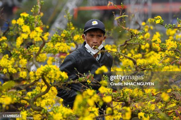 Worker tends to a pot of apricot blossoms at a makeshift shop selling plants for celebrations for Tet, as the Lunar New Year is referred to in...