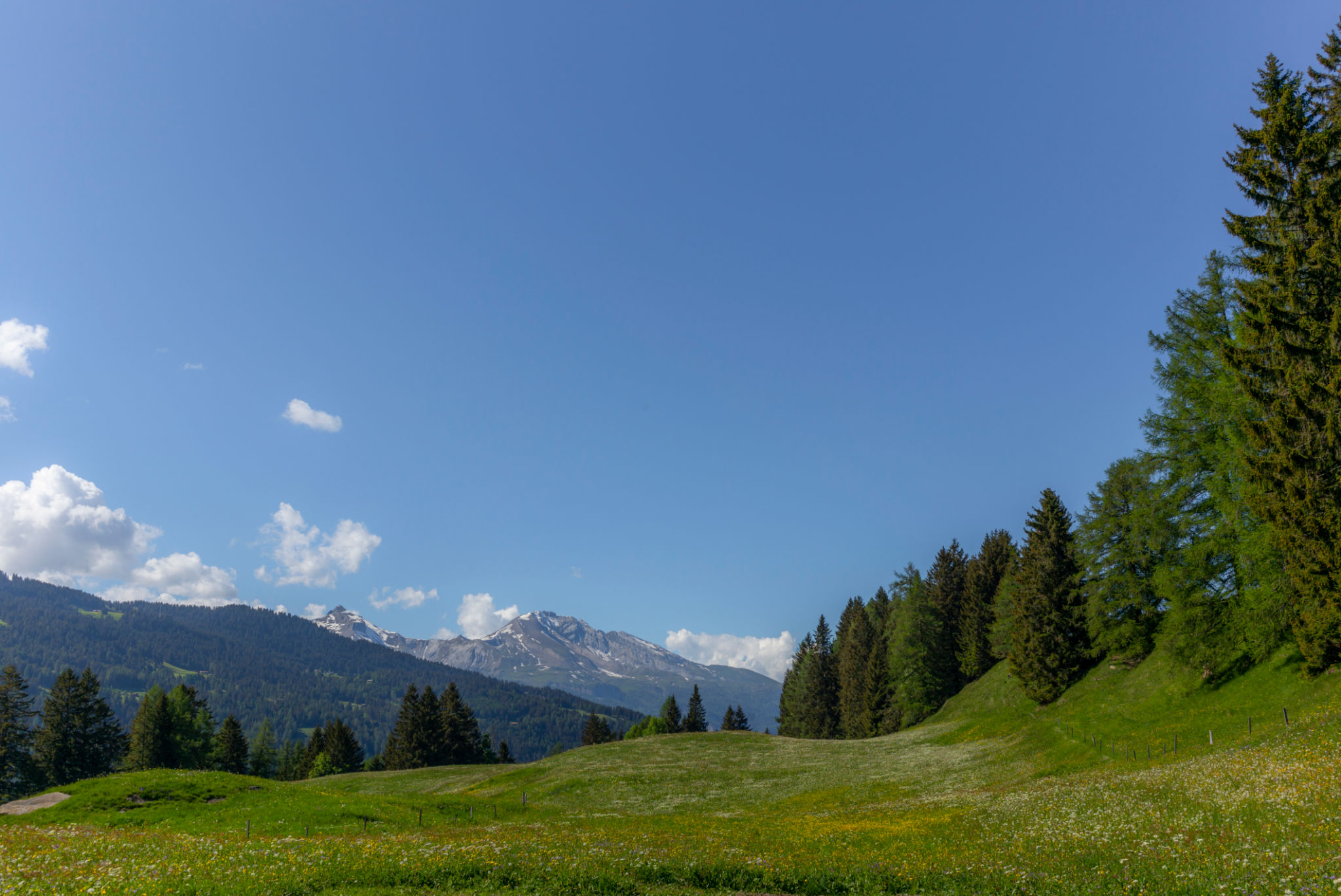 falera summer