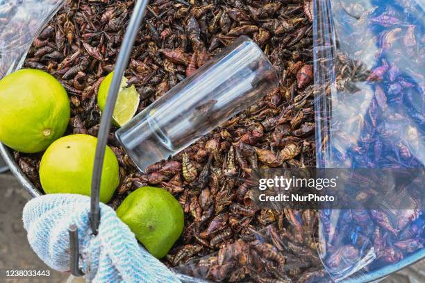 Bucket full of Chapulines, dried and roasted grasshoppers, a pre-Hispanic Mexican delicacy, for sale on a street in San Cristobal de las Casas. On...