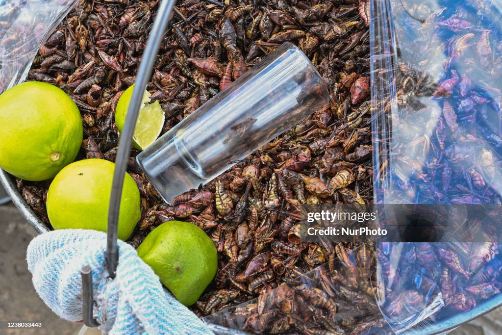 Daily Life In San Cristobal De Las Casas During The Covid-19 Pandemic