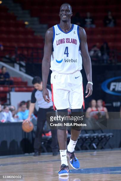 Thon Maker of the Long Island Nets against the Lakeland Magic during the second half on January 28, 2022 at the RP Funding Center in Lakeland,...