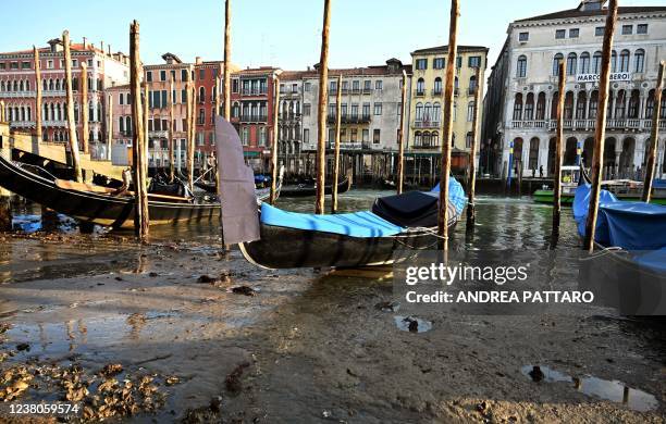 Gondolas are seen tied up in Venice Canal Grande, near Rialto bridge, on January 29 as exceptionally low tides have drained the lagoon city. - The...