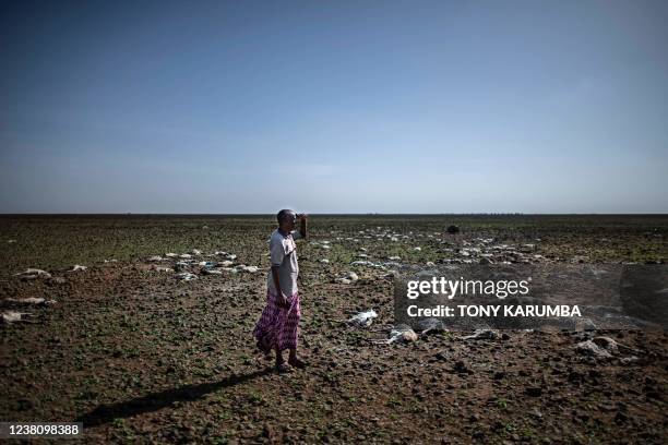 Pastoralist from the local Gabra commutniy shades his eyes from the sun as he looks out at a field strewn with Sheep and goat carcasses on the...