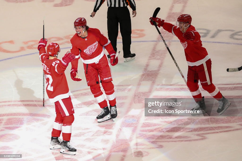 NHL: JAN 31 Ducks at Red Wings