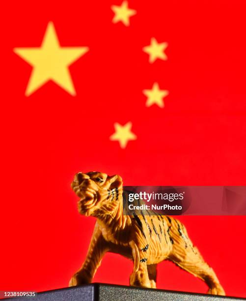 Illustration of a tiger in front of the Chinese national flag. Chinese around the world celebrate Lunar New Year to welcome the year of Tiger on...