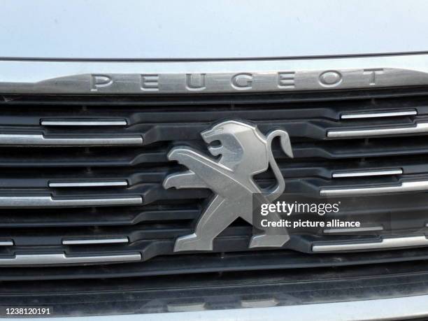 January 2022, North Rhine-Westphalia, Cologne: Logo, lettering of the French car manufacturer PEUGEOT on a car radiator grille Photo: Horst...