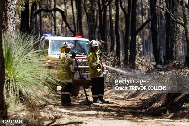 Firefighters conduct mop up operations in a smouldering forest after a bushfire that threatened homes was extinguished in the suburbs of Perth on...