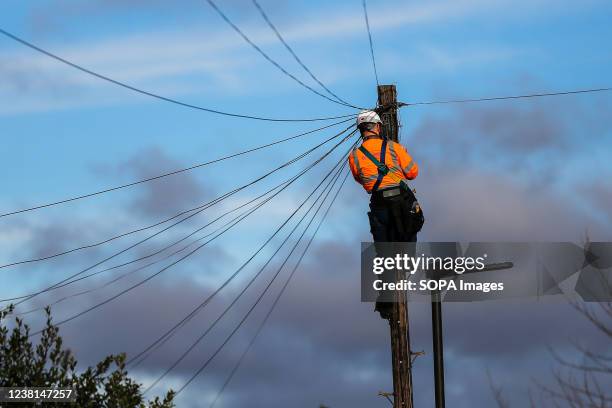 Network engineer from Openreach, a unit of BT Group Plc, carries out maintenance work at the top of a telegraph pole.