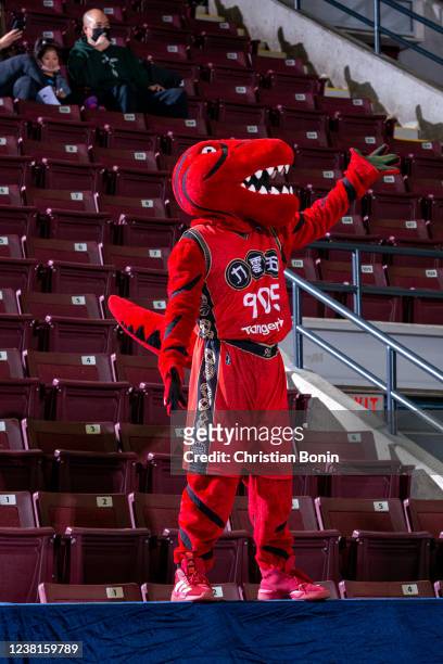 Raptors 905 mascot Stripes shows off his alternate jersey commemorating the 2022 Lunar New Year during an NBA G League game against the Windy City...