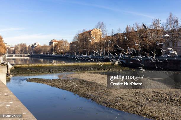 Dora Riparia Map 30 Dora Riparia River Stock Photos, High-Res Pictures, and Images ...