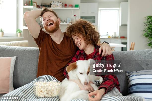 all we need is a good comedy and each other - home sweet home dog stock pictures, royalty-free photos & images