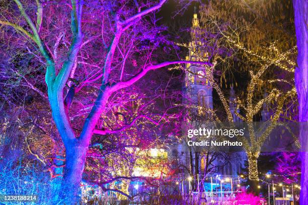 Bright holiday illumination on the Rathausplatz square near Vienna City Hall building in the historic center of Vienna, Austria. January 2022