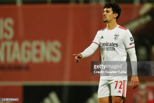Tomas Araujo of SL Benfica B during the Liga 2 Sabseg match between SL Benfica B and Casa Pia AC at Benfica Campus on February 4, 2022 in Seixal,...
