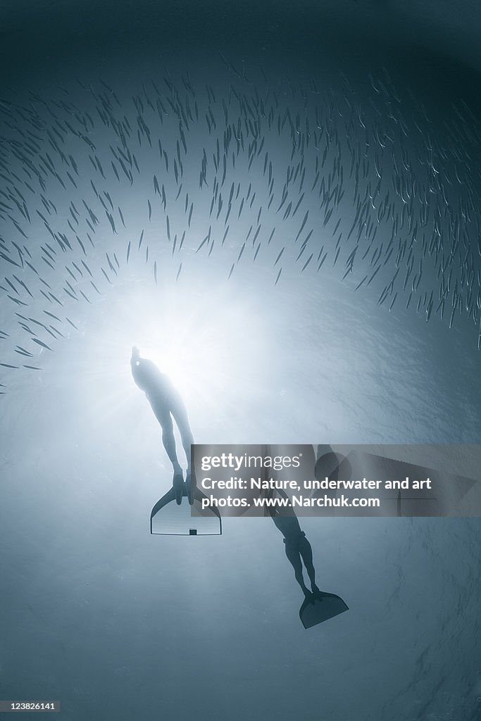 People diving deep in water