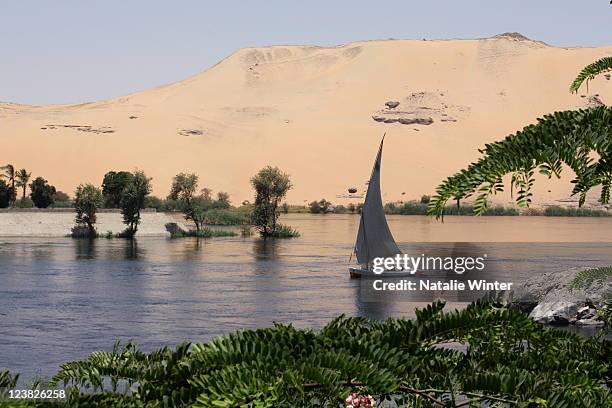 felucca sails on nile river, aswan, egypt - aswan egypt stock pictures, royalty-free photos & images