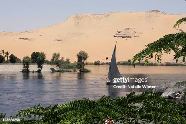 felucca sails on nile river, aswan, egypt - felucca boat imagens e fotografias de stock