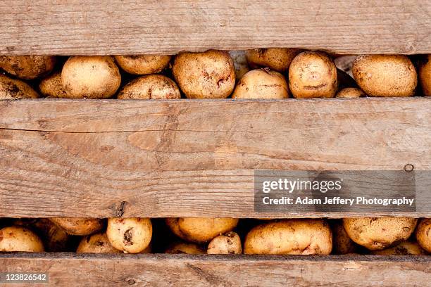 potato crate - holzkiste stock-fotos und bilder