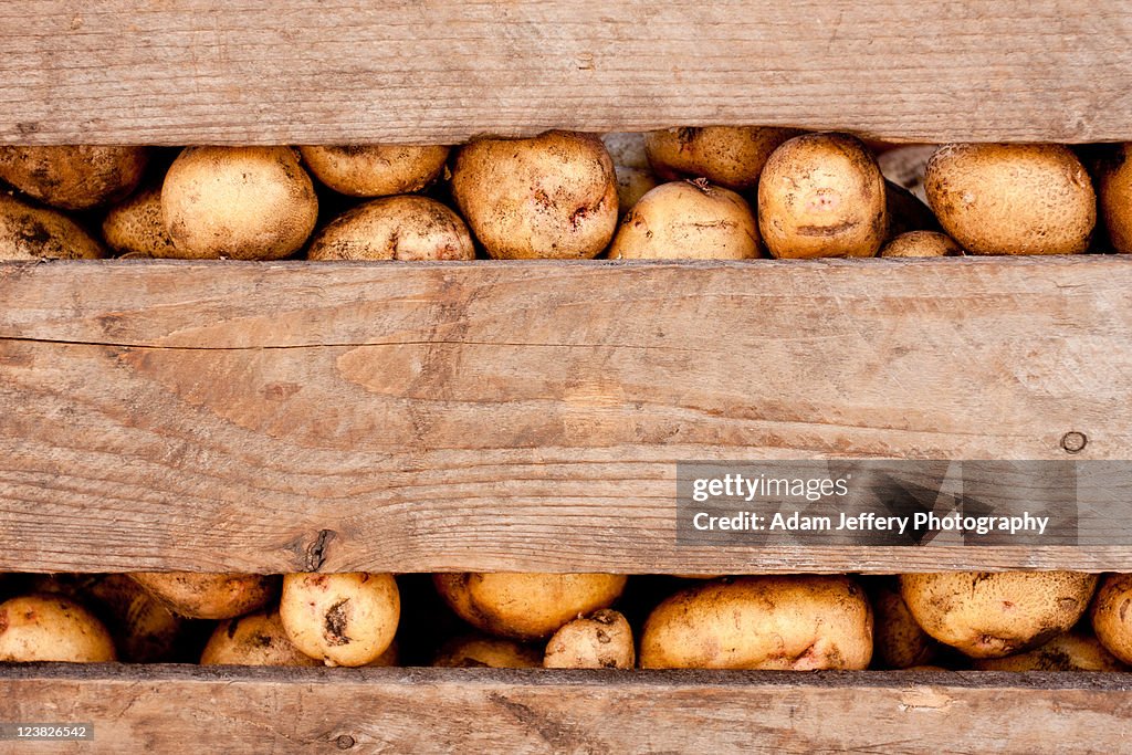 Potato crate