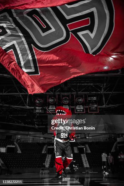 Raptors 905 mascot Stripes waves the team flag before an NBA G League game against the Windy City Bulls at the Paramount Fine Foods Centre on...