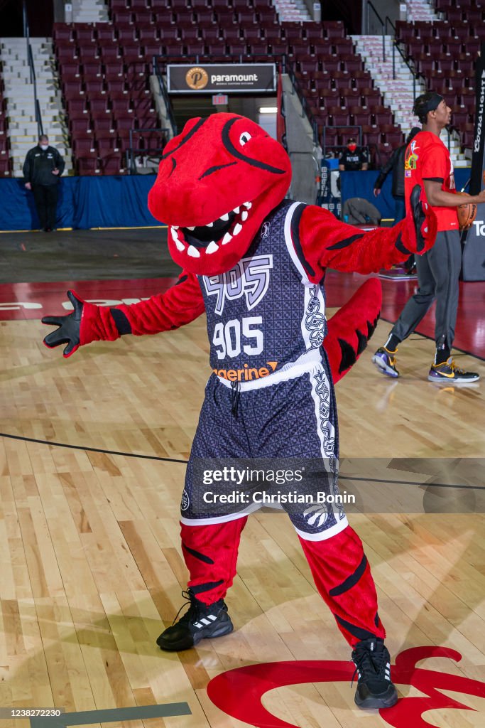 Riverside Raptors Rvc Mascot Raptors 905 mascot Stripes shows off his 2022 Black History Month ...