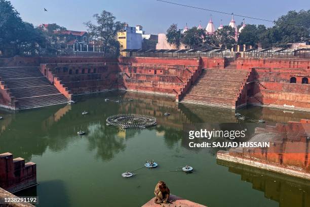 In this photograph taken on February 5 a monkey sits besides a step-well in Mathura.