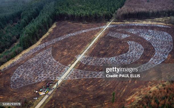 Tree Guild Aerial Tree Planting Aerial Photos and Premium High Res Pictures - Getty Images