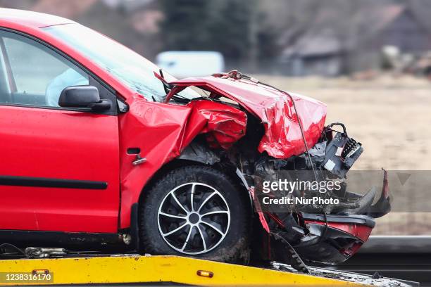 856 Car Accident Animal Photos and Premium High Res Pictures - Getty Images