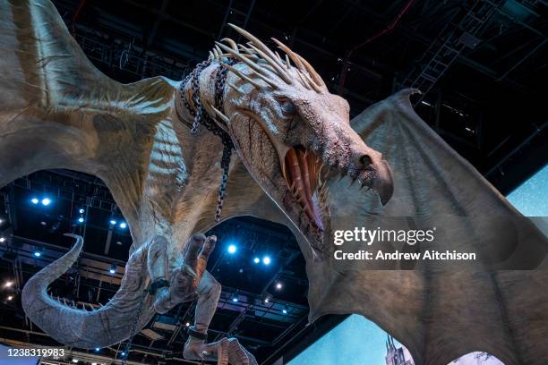 Ukrainian Iron belly, the dragon from Gringotts bank in Deathly Hallows part 1 film greets the public in the main entrance at Warner Bros studio...