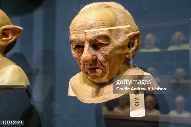Prosthetic head and shoulders of the goblins of Gringotts Wizarding Bank on display at Warner Bros studio tour, The Making of Harry Potter on the...