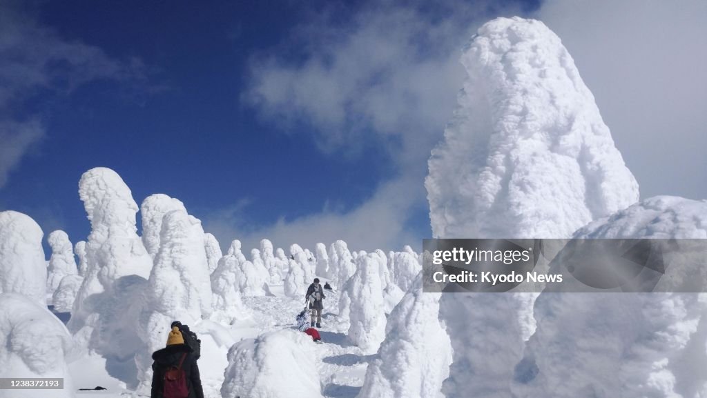 Frost-covered trees at ski resort in Japan