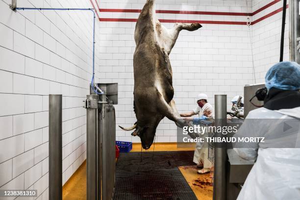 Graphic content / Employees cut up a Bazas beef at the newly-opened slaughterhouse in Begles, southwestern France on February 11, 2022. - Bazas Beef,...