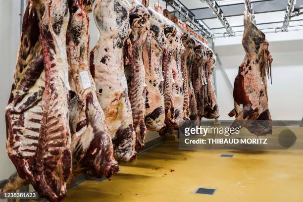 Graphic content / A picture taken on February 11, 2022 shows beef carcasses hanging on hooks in a refrigerator at the newly-opened slaughterhouse in...