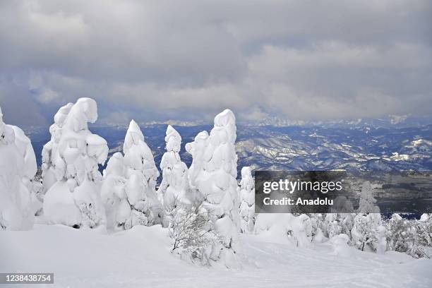 Frost-covered conifers, called Snow Monsters, Juhyo in Japanese, decorate the snowy landscape of Mount Zao on Feb. 8 at Mont Zao, in Yamagata...