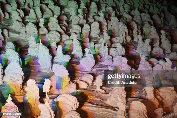 Frost-covered conifers, called Snow Monsters, Juhyo in Japanese, illuminated by spotlights, decorate the snowy landscape of Mount Zao on the night of...