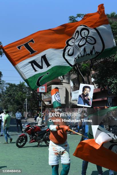 Trinamool Congress supporter with painted body and party flags celebrates TMC's victory in four West Bengal Munucipal Corporation - Bidhannagar,...