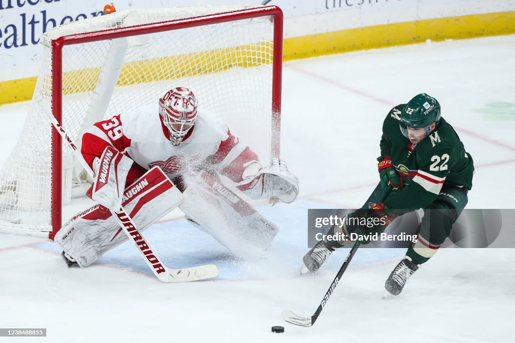 Detroit Red Wings v Minnesota Wild