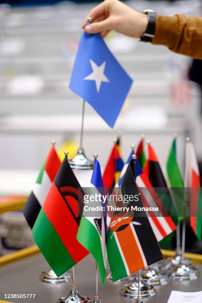 The flags of the countries that will participate to the next Afric/EU Summit are dispalyed on table on february 15, 2022 in Brussels, Belgium. Next...