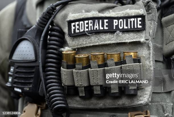 Illustration picture shows members of the special units during a celebration of the 50th anniversary of the special units of the federal police,...