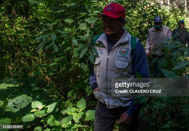 Members of a vigilance brigade are seen is seen at the Rosario Sanctuary -- the winter home of Monarch butterflies -- , in the Ocampo municipality,...
